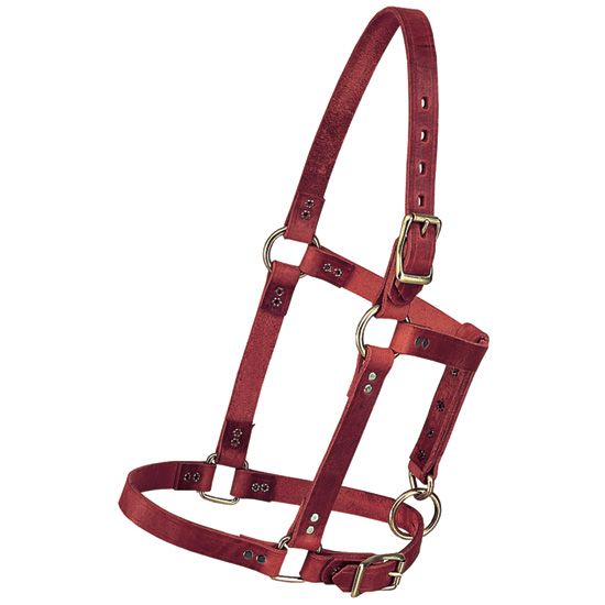 Weaver Leather 5/8" Sucking with Catch Strap Riveted Halter