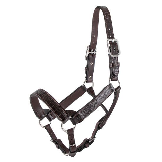 Premium Leather Horse Halters