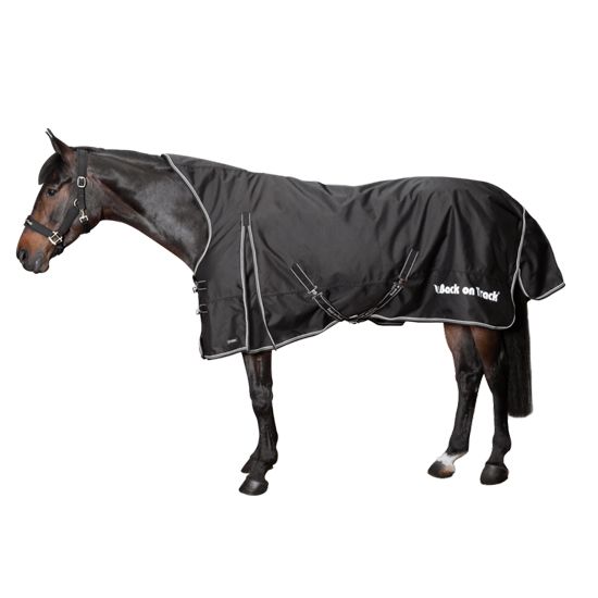 Brianna Back On Track Turnout Blanket