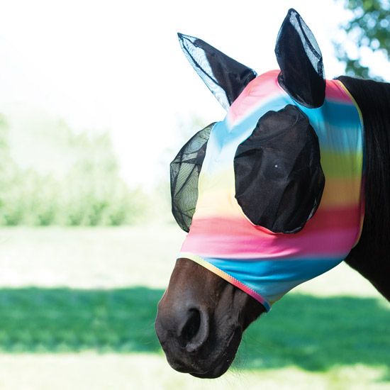 Weaver Leather Rainbow Fly Mask