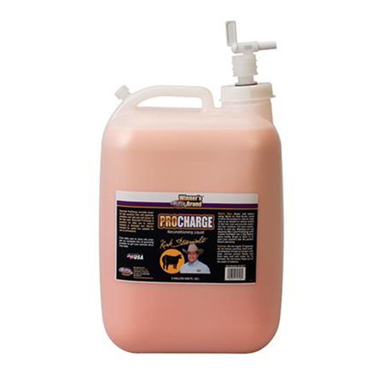 Weaver Pro-Charge Reconditioner 5 gallon