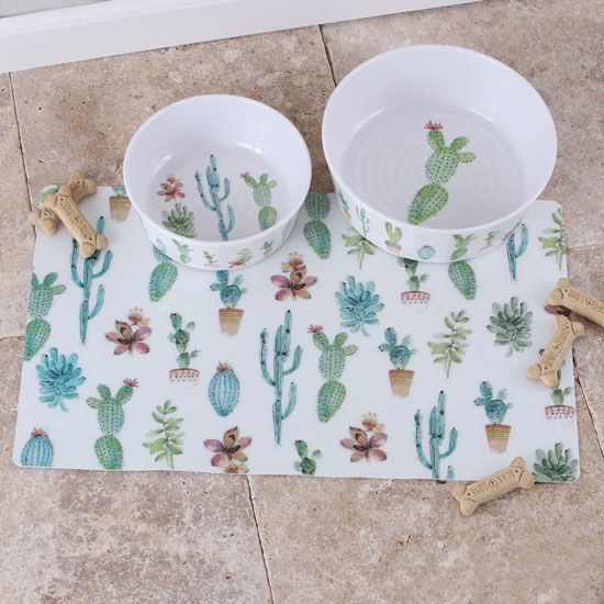 Cactus Melamine Pet Bowls and Mat