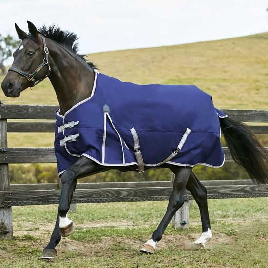 Weatherbeeta ComFiTec Essential Blanket