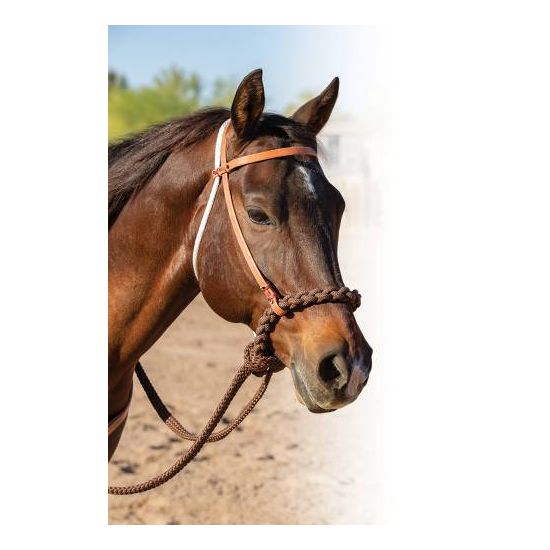 Professional's Choice Loping Hackamore