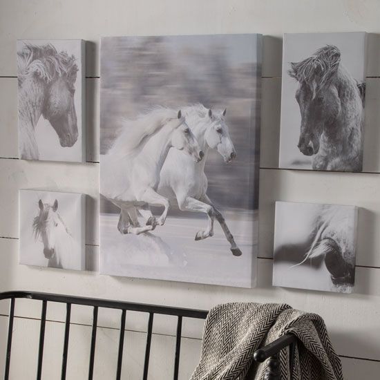 Black and White Horse Canvas Collage Set of 5
