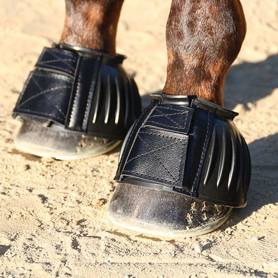 Horse Bell Boots