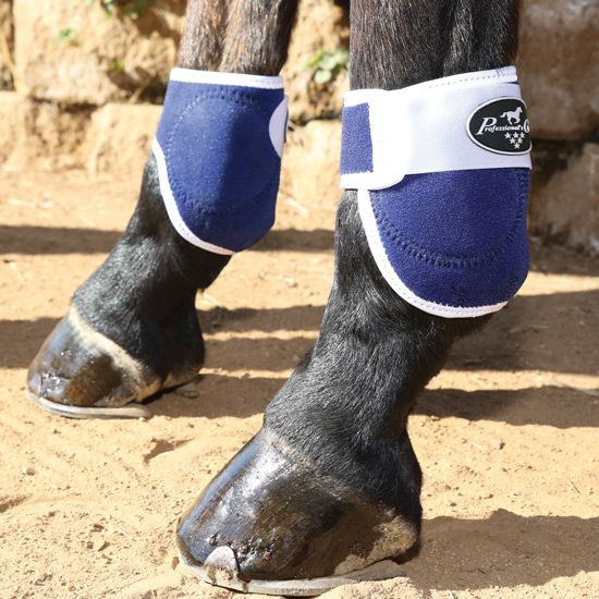 Professional's Choice Magnetic Ankle Boot