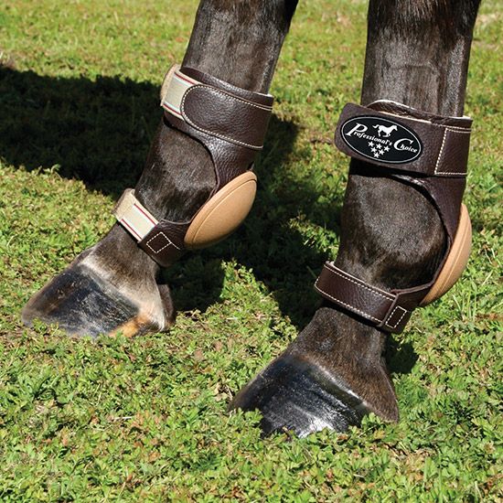 Horse Leg Protection