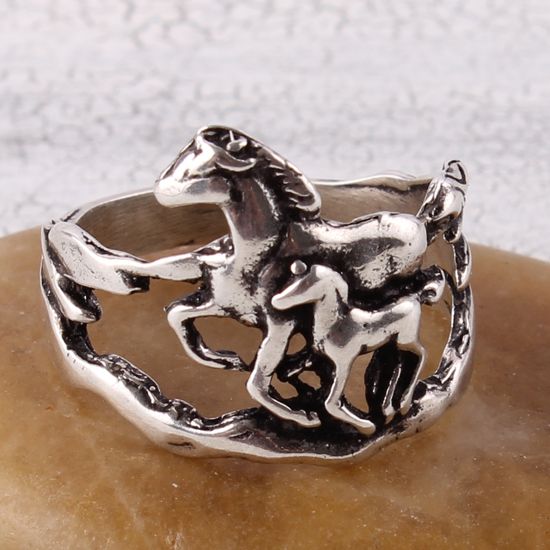 Tiger Mountain Sterling Mare And Foal Ring
