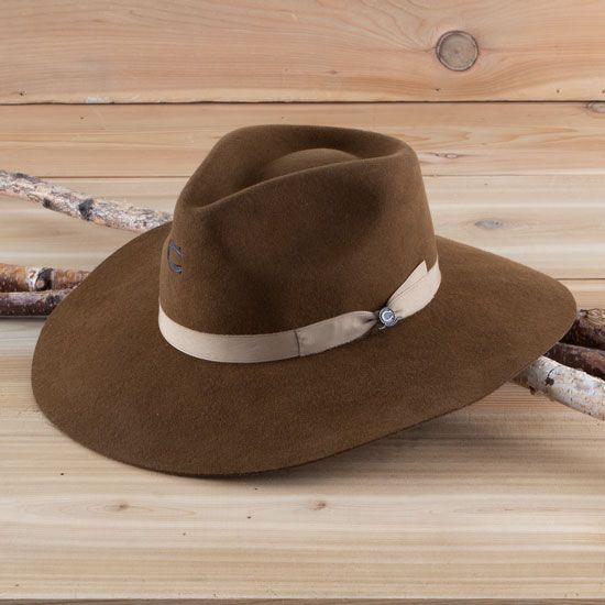 Charlie 1 Horse Acorn Highway Hat
