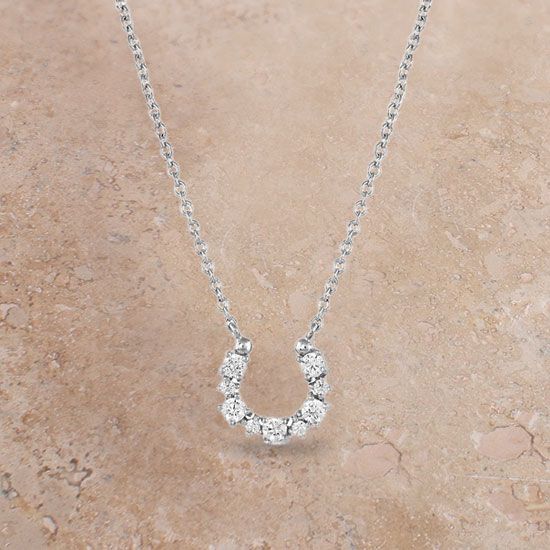 Montana Silversmiths Longline Horsehoe Necklace