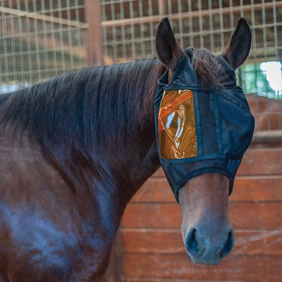 Restoration Equine Mask with Eye Patch by XpertEquine