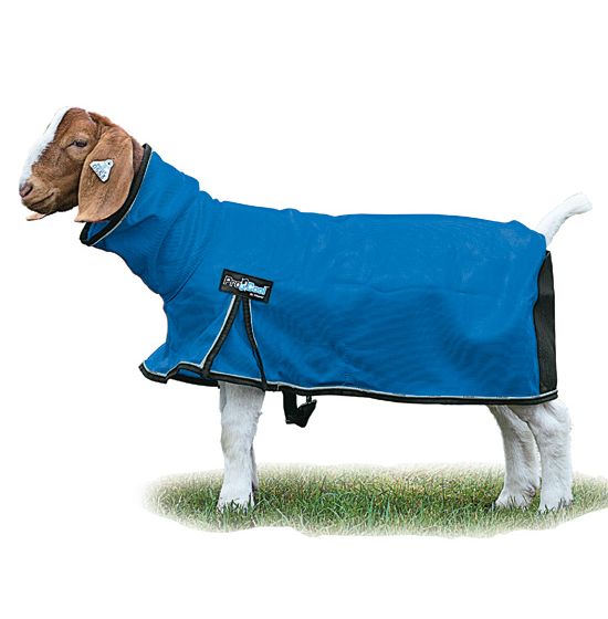 Blanket with goats on it sale