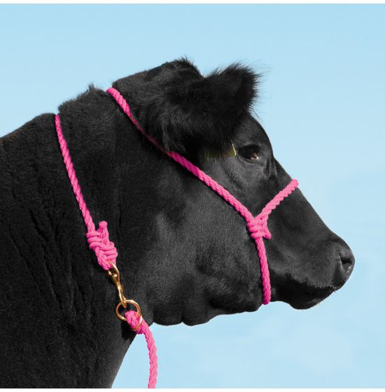 Cattle Rope Halter - Weaver Livestock