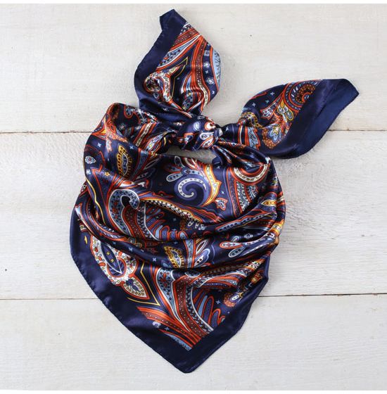 Retro Paisley Wild Rag