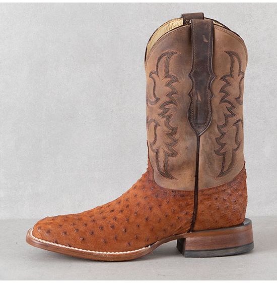 Justin aqha full quill ostrich online