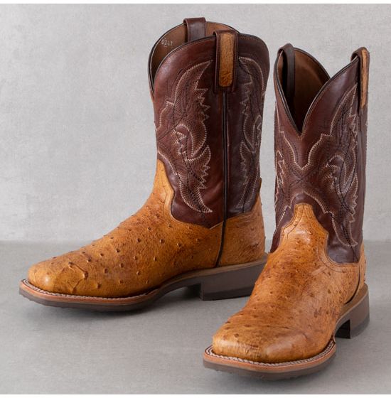 Dan Post Cognac Ostrich Boots