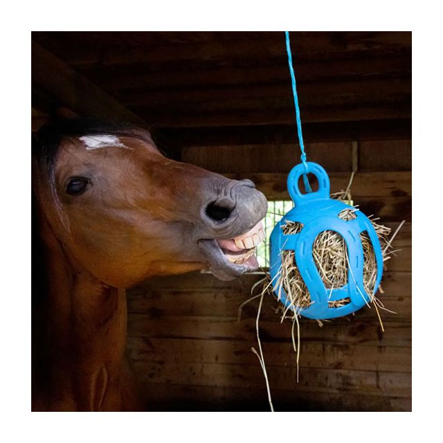 10 Scented Jolly Ball With Handle