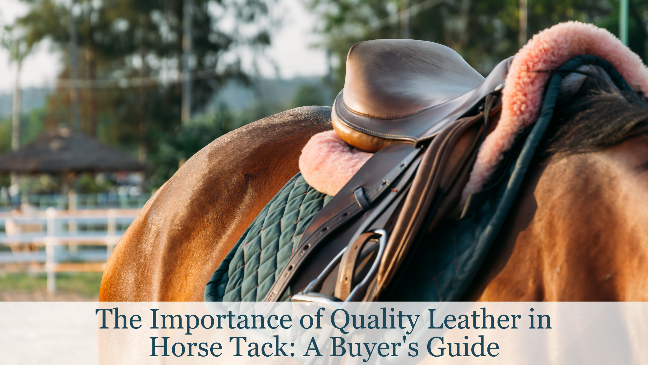 The Importance of Quality Leather in Horse Tack: A Buyer's Guide