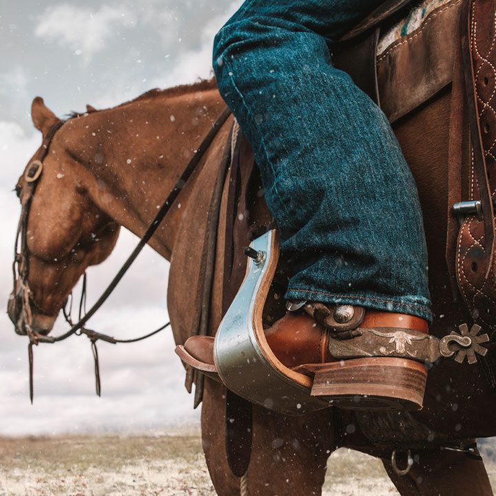 Shop for Western Fashion Boots Bedding Tack Rods