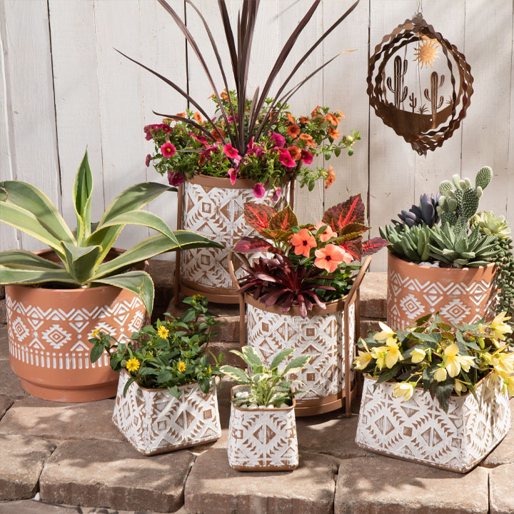 Shop Western Outdoor Garden Decor