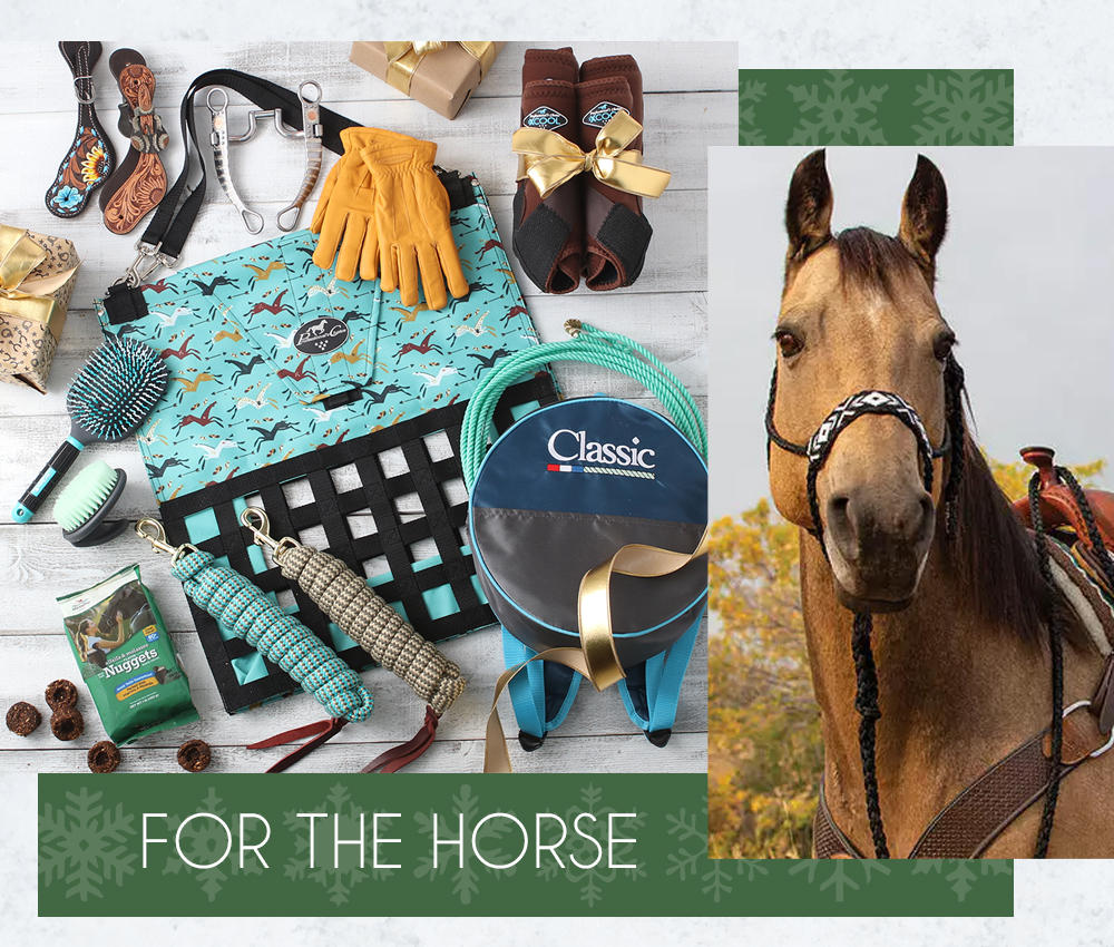 Shop Holiday Gifts for Your Horse